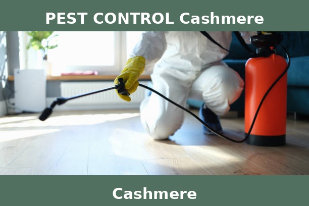 PEST CONTROL Cashmere